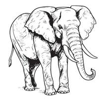 elefante africano caminhando mão desenhado esboço ilustração vetor