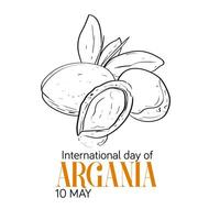 internacional dia do argania celebração Projeto com a argan óleo. mão desenhando linha argan óleo nozes com plantar ilustração. internacional dia do argania celebração poster Projeto vetor