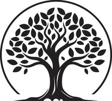 floresta harmonia árvore ícone símbolo marquise essência árvore emblema Projeto vetor