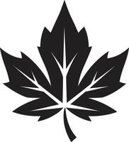 botânico sinfonia do folha silhueta encantado marquise folha silhueta emblema dentro vetor