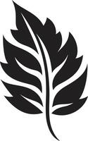 verdejante vibrações naturezas emblema com folha silhueta orgânico harmonia folha silhueta vetor