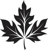renovado crescimento folha silhueta emblema dentro simbiótico serenidade do folha silhueta vetor