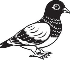 Pombo pássaro - Preto e branco desenho animado ilustração, vetor