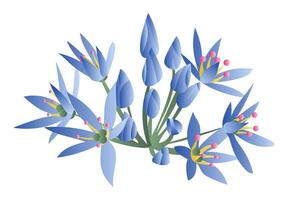 azul lírio flores dentro arbusto dentro plano Projeto. florescendo Primavera flores. ilustração isolado. vetor