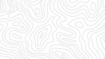 topográfico contorno fundo. contorno fundo. moderno topográfico mapa papel de parede. topográfico fundo. abstrato ondulado fundo. vetor