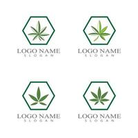 Cannabis maconha folha de maconha logotipo e símbolo vetor