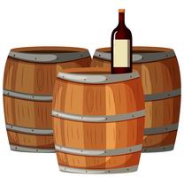Garrafa de vinho em barris de madeira vetor