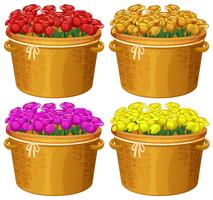 Quatro cestas de rosas em cores diferentes vetor