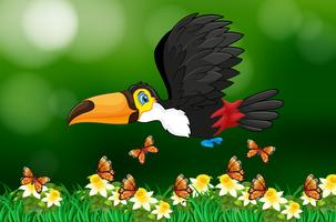 Pássaro Tucano voando no jardim vetor