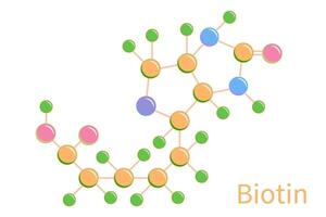 biotina Vitamina b7 moléculas estrutura Fórmula ilustração vetor