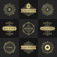 vintage logotipos e monogramas conjunto elegante floresce linha arte gracioso enfeites vitoriano estilo modelo Projeto vetor