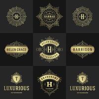 vintage logotipos e monogramas conjunto elegante floresce linha arte gracioso enfeites vitoriano estilo modelo Projeto vetor