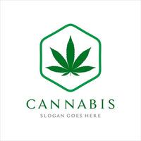 cannabis folha com hexágono forma logotipo Projeto modelo vetor