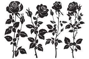rosa silhuetas ilustração. Preto brotos e hastes do rosas estênceis isolado em branco fundo vetor