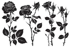 conjunto do rosas silhuetas isolado em uma branco fundo vetor