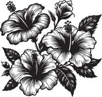 hibisco flores desenhando e esboço com linha arte, Preto cor silhueta vetor