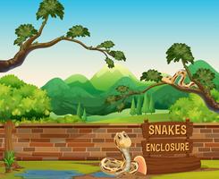 Cena do jardim zoológico com cobras no tempo do dia vetor