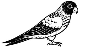 boukers papagaio deslumbrante ilustração para seu desenhos vetor