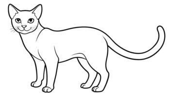 digno de miau gato ilustração perfeito gráficos para seu desenhos vetor