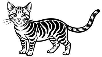 digno de miau gato ilustração perfeito gráficos para seu desenhos vetor
