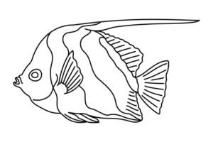 tropical peixe. simples mão retirou. isolado em branco fundo. rabisco peixe linha arte desenho. arte terapia coloração página para crianças e adultos. Preto e branco ilustração vetor