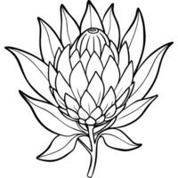 protea flor esboço ilustração coloração livro página projeto, protea flor Preto e branco linha arte desenhando coloração livro Páginas para crianças e adultos vetor