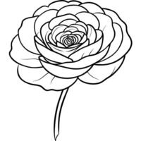 ranúnculo flor esboço ilustração coloração livro página projeto, ranúnculo flor Preto e branco linha arte desenhando coloração livro Páginas para crianças e adultos vetor