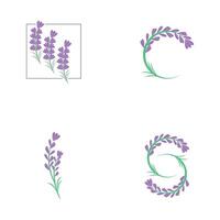 conjunto lavanda logotipo modelo vetor