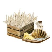 aguarela rural Fazenda composição para judaico shavuot de madeira caixa do trigo colheita, queijo, pão, leite. ilustração vetor
