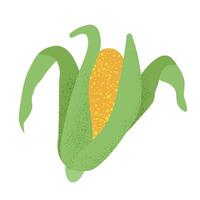 milho amarelo plano Comida ícone. na moda ilustração do orgânico Comida. agricultura milho cob. ilustração. vetor