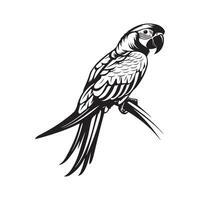 papagaio em uma ramo imagem Projeto em branco fundo vetor