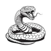 serpente imagem isolado em branco . serpente ilustração estoque Projeto vetor