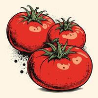 mão desenhado tomates vintage gravado estilo vetor