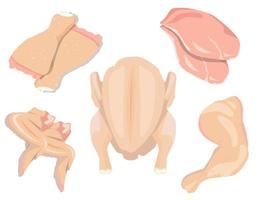 Conjunto de peças de frango fresco cru. frango inteiro, filetes de peito, asas e coxinhas. ilustração vetorial no fundo branco. vetor