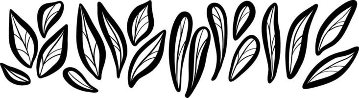 linha arte folha rabisco definir, mão desenhado orgânico ilustração do folhas, isolado vetor