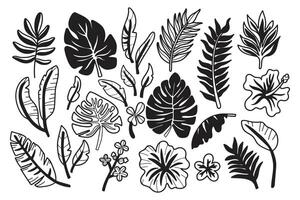 uma coleção do Preto e branco desenhos do vários tropical plantas e flores vetor