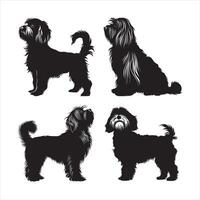 plano ilustração do havanese cachorro silhueta vetor