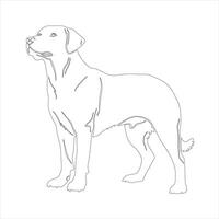 mão desenhado labrador retriever cachorro esboço ilustração vetor