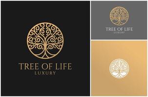 árvore bordo carvalho olmo ramo haste raiz linha arte círculo ouro luxo logotipo Projeto ilustração vetor