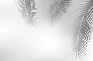 sombra de folha de palmeira vetor