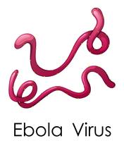 Wordcard para o vírus ebola vetor