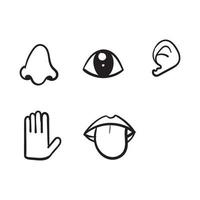 ilustração de cinco sentidos humanos desenhados à mão com estilo de arte de linha de doodle vetor