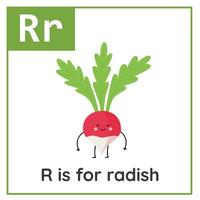 fruta e vegetal alfabeto cartão de memória para crianças. Aprendendo carta r. r é para rabanete. vetor