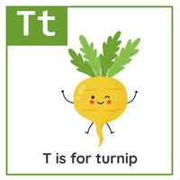 fruta e vegetal alfabeto cartão de memória para crianças. Aprendendo carta t. t é para nabo. vetor