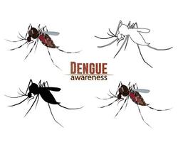 mosquitos levar muitos doença tal Como dengue febre e senão vetor