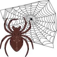 teia de aranha e aranhas em branco fundo. ilustração em dia das Bruxas vetor