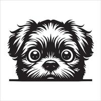 cachorro face logotipo - uma shih tzu cachorro confuso face ilustração dentro Preto e branco vetor