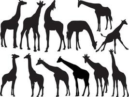 girafa silhueta em branco fundo vetor