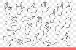 vários gestos estão fez com mãos do mulher sinalização usando braços. mão desenhado doodle. vetor