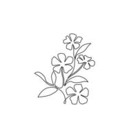 único desenho de linha de catharanthus fresco de beleza para o logotipo do jardim. conceito de flor de pervinca decorativa para impressão de cartaz de arte de decoração de parede em casa. ilustração em vetor desenho moderno linha contínua